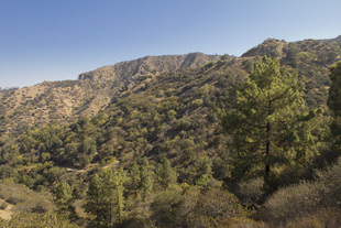 Hogback Ridge
