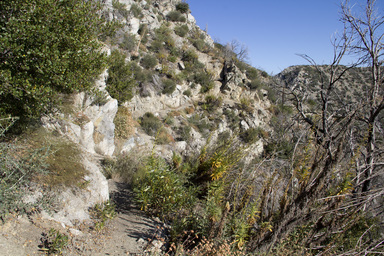 San Gabriel Peak Trail