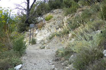 Mount Lowe Trail East