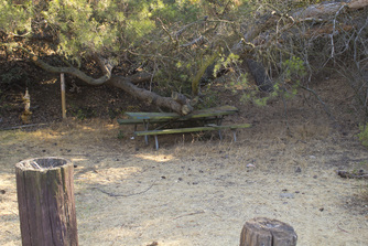 Haunted Picnic Table