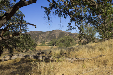 Hacienda Trail