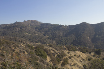 Mt. Hollywood